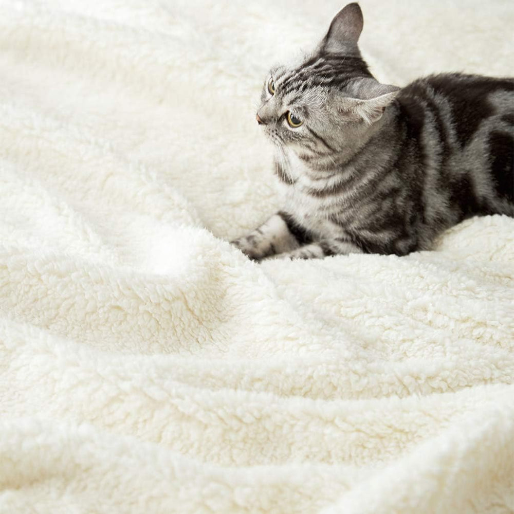 LBRO2M Sherpa Fleece Bed Blanket Super Soft Plush Warm Throw King 90"X10...