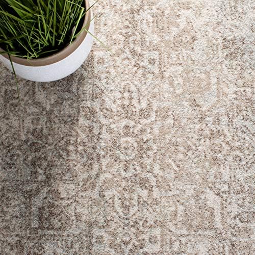 SAFAVIEH Evoke Area Rug 8x10 Large, Ivory & Taupe EVK256E