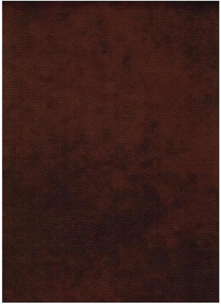 Kodiak Furniture 75" Traditional Polyester & Leather No-Flip Futon M...