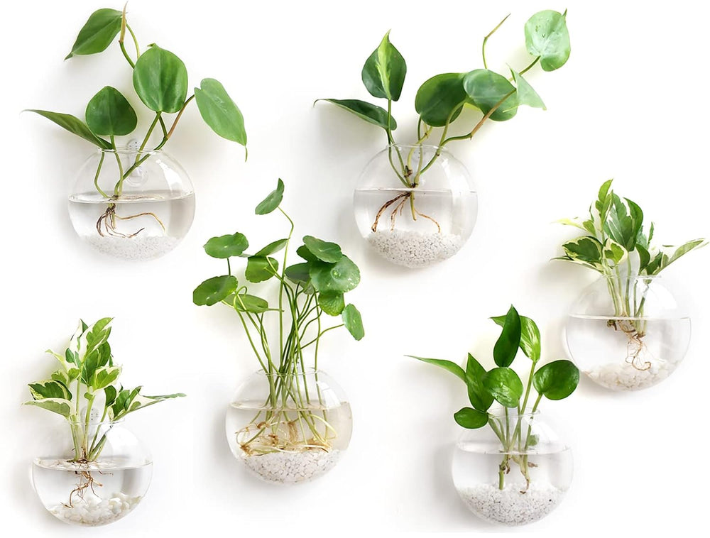 Mkono Wall Propagation Planters, 6 Pack Oblate Hanging Plant Holder Vase