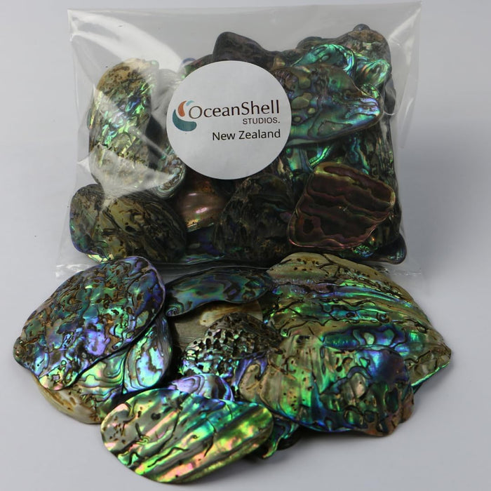 Abalone (Pāua) Shell Pieces-7.05oz Pack-for Crafts, Jewelry Making, Resin Art, Inlay, Home Decorations, Fishtank Supplies, DIY Projects - Satin, Medium Medium Size 1"- 1.58" 7.05oz (200grams)