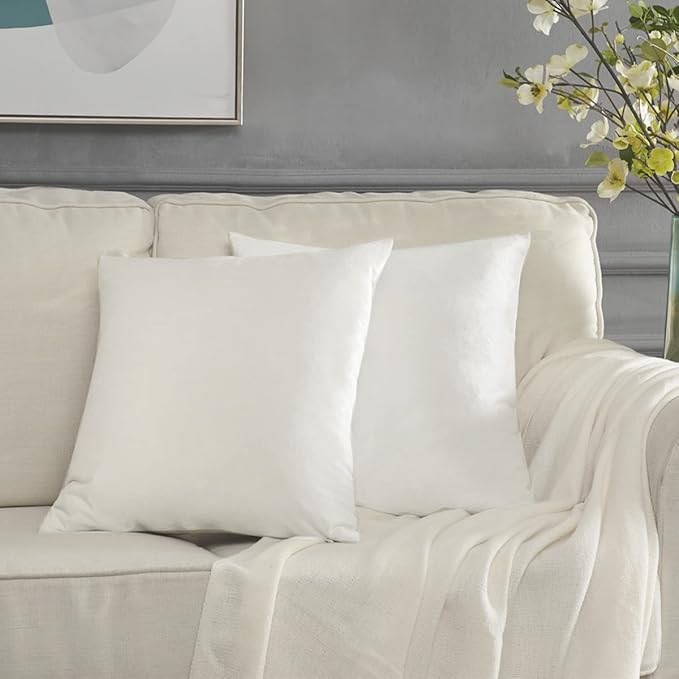 GIGIZAZA White Velvet Decorative Throw Pillow Covers by GIGIZAZAFocusingonhomedecoration