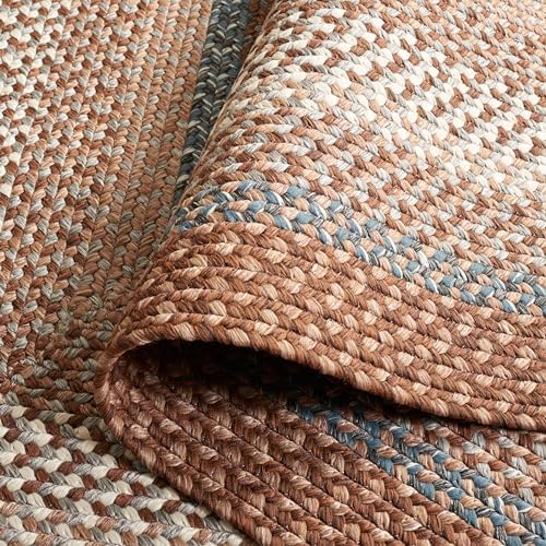 SAFAVIEH Braided Indoor/Outdoor Washable Area Rug 4'x6', Brown BRD313A
