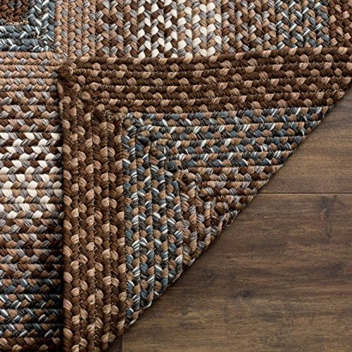SAFAVIEH Braided Indoor/Outdoor Washable Area Rug 4'x6', Brown BRD313A