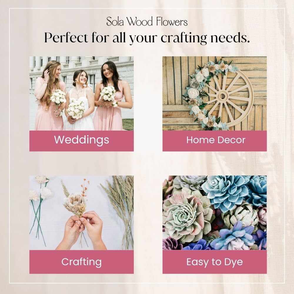 Sola Wood Flowers - Random Assortment (No Bark) - 100 pcs, Artificial Flowers...