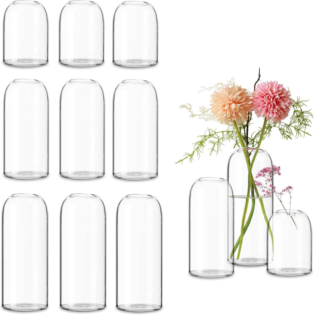 Etolies Glass Bud Vases in Bulk Set of 12, Clear Small Vases for Flowers,Mode...
