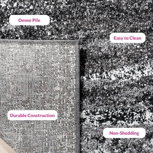 SAFAVIEH Adirondack Area Rug 8'x10', Modern Silver & Black ADR112A