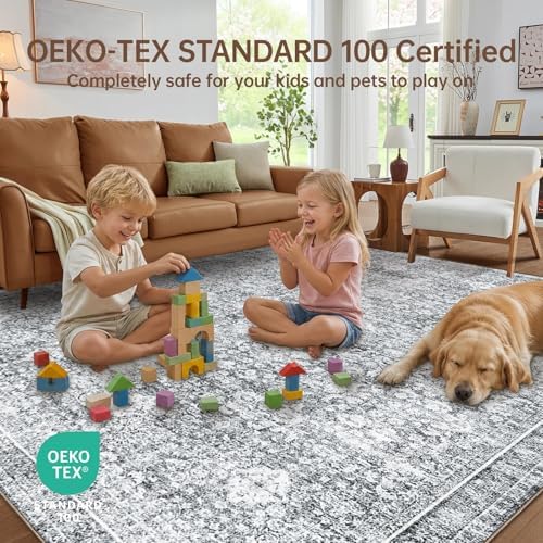 Sasttie 4x6 Area Rugs, Ultra-Soft Washable Rug for Living Room, Light Grey
