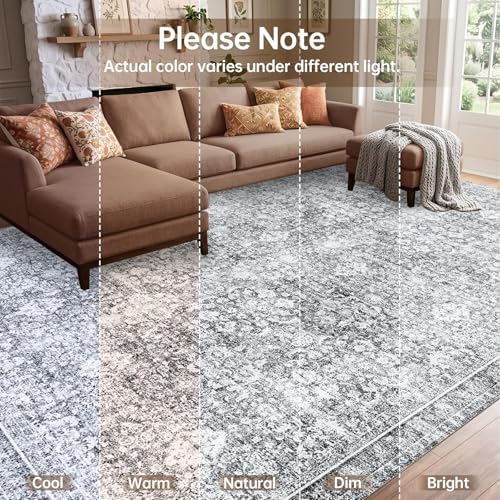 Sasttie 4x6 Area Rugs, Ultra-Soft Washable Rug for Living Room, Light Grey