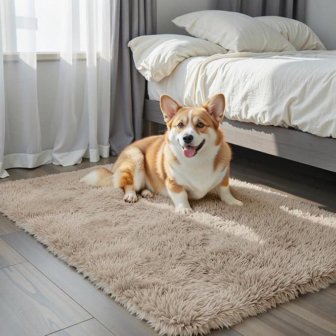 3x5 Rug, Bedside Preppy Dorm Area Rug, College Essentials Small Carpets - Image 7