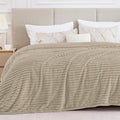 BEDELITE Blankets Queen Size for Bed, 300GSM Soft & Warm Fleece Blanket by BEDELITE
