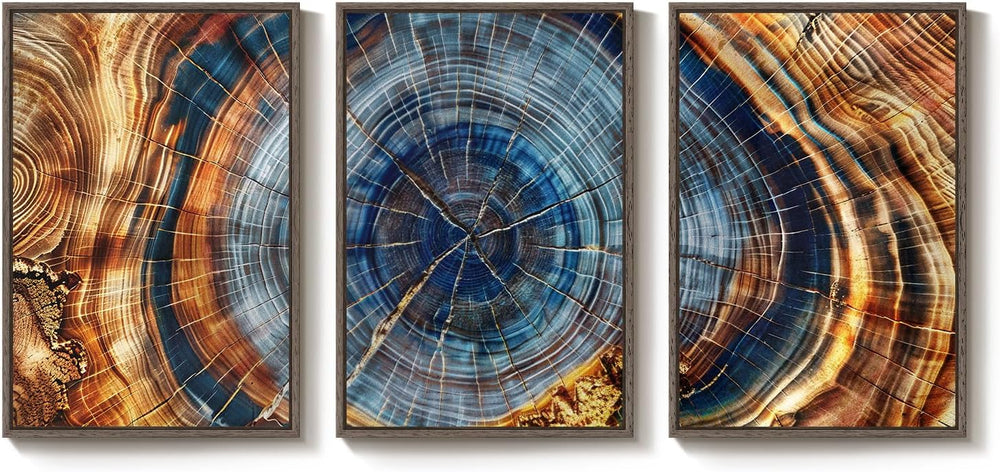 3 Piece Large Framed Colorful Tree Ring Wall Art for Living Room, 24x36 In