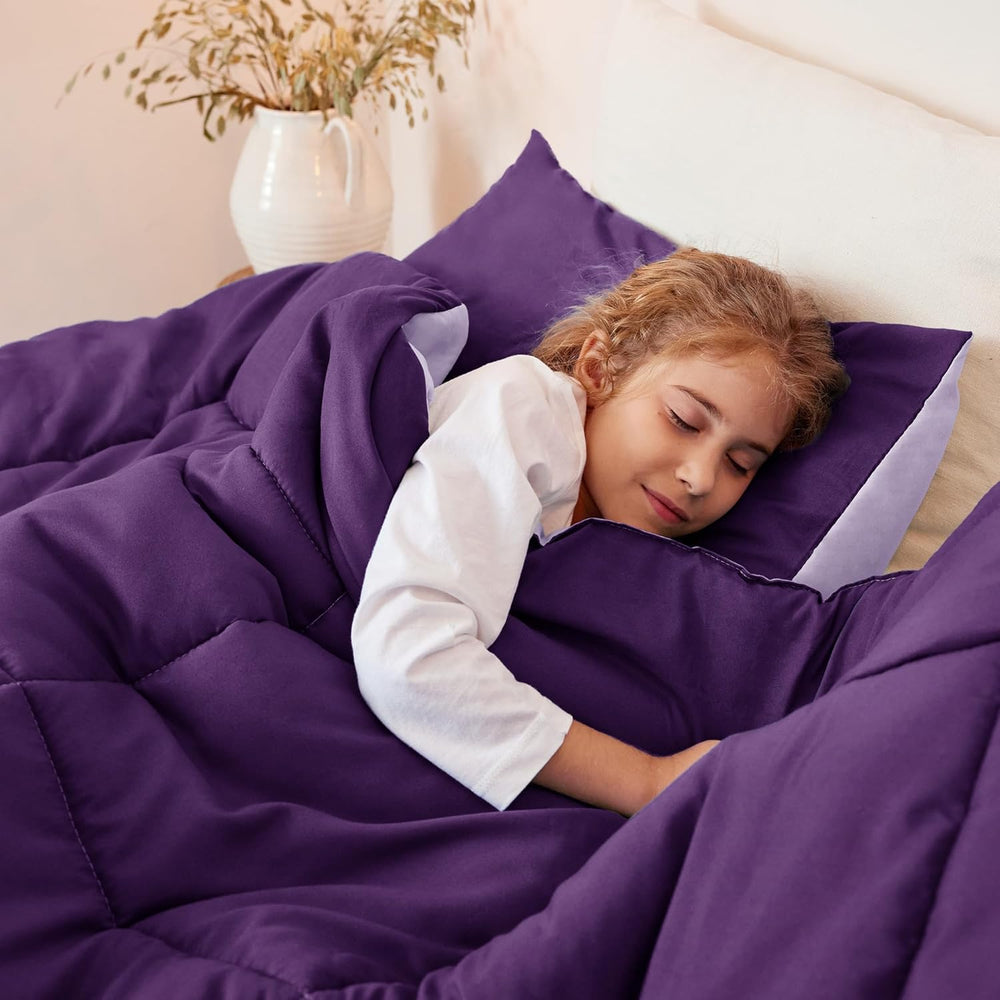 Exclusivo Mezcla Reversible Soft Queen Comforter Set, 3 Pieces