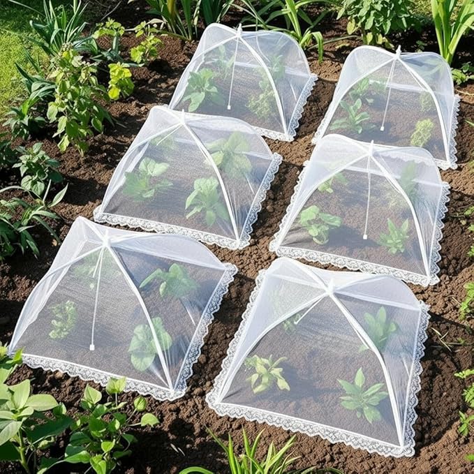 Mesh Food Covers for Outside - Image 5