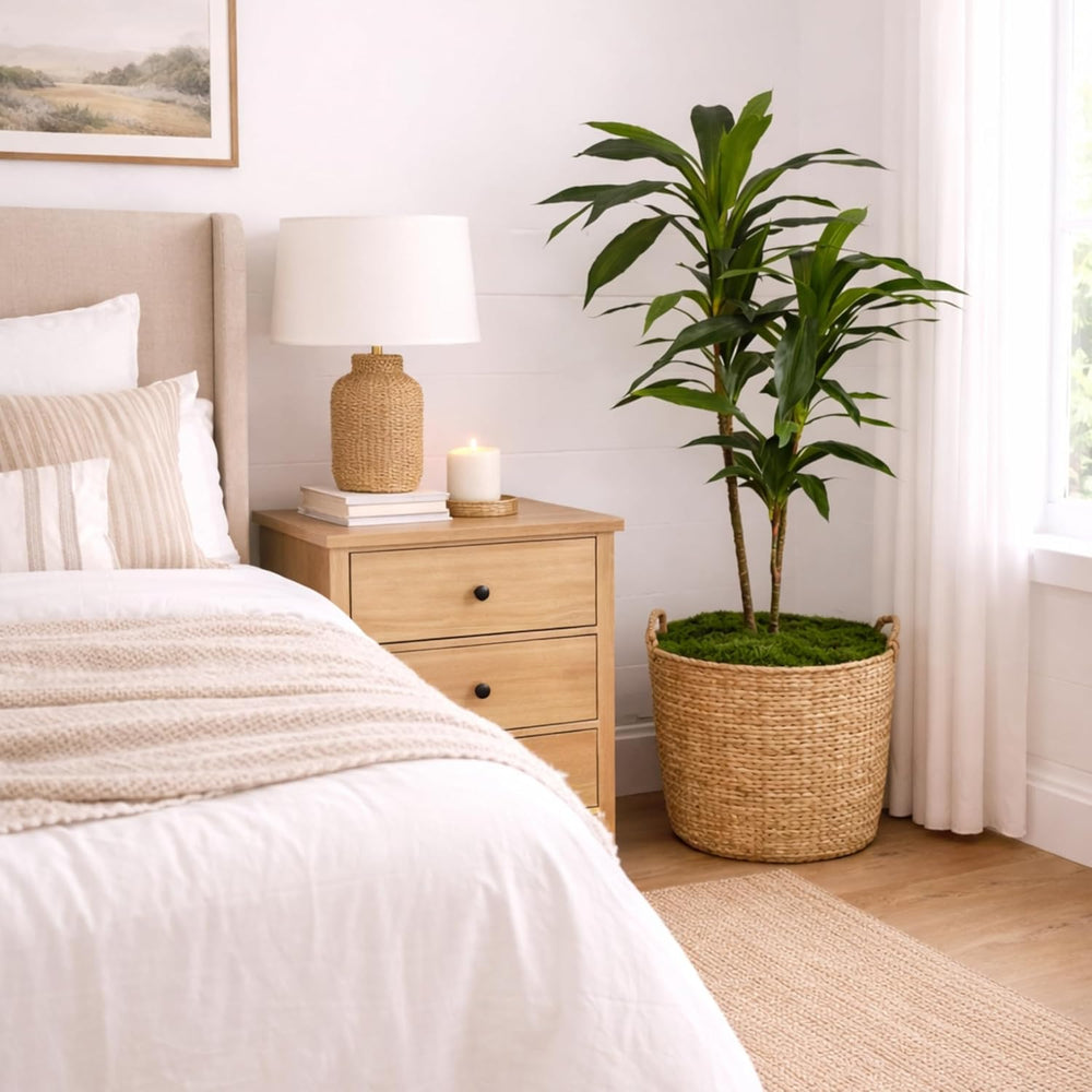 Nearly Natural 48in Artificial Dracaena with Real Touch Leaves and Multi Tona...