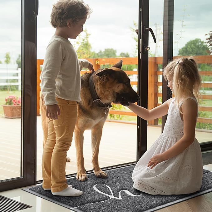BeneathYourFeet Door Mat, Welcome Mat Low Profile Front Doormat Non Slip Mats - Image 2