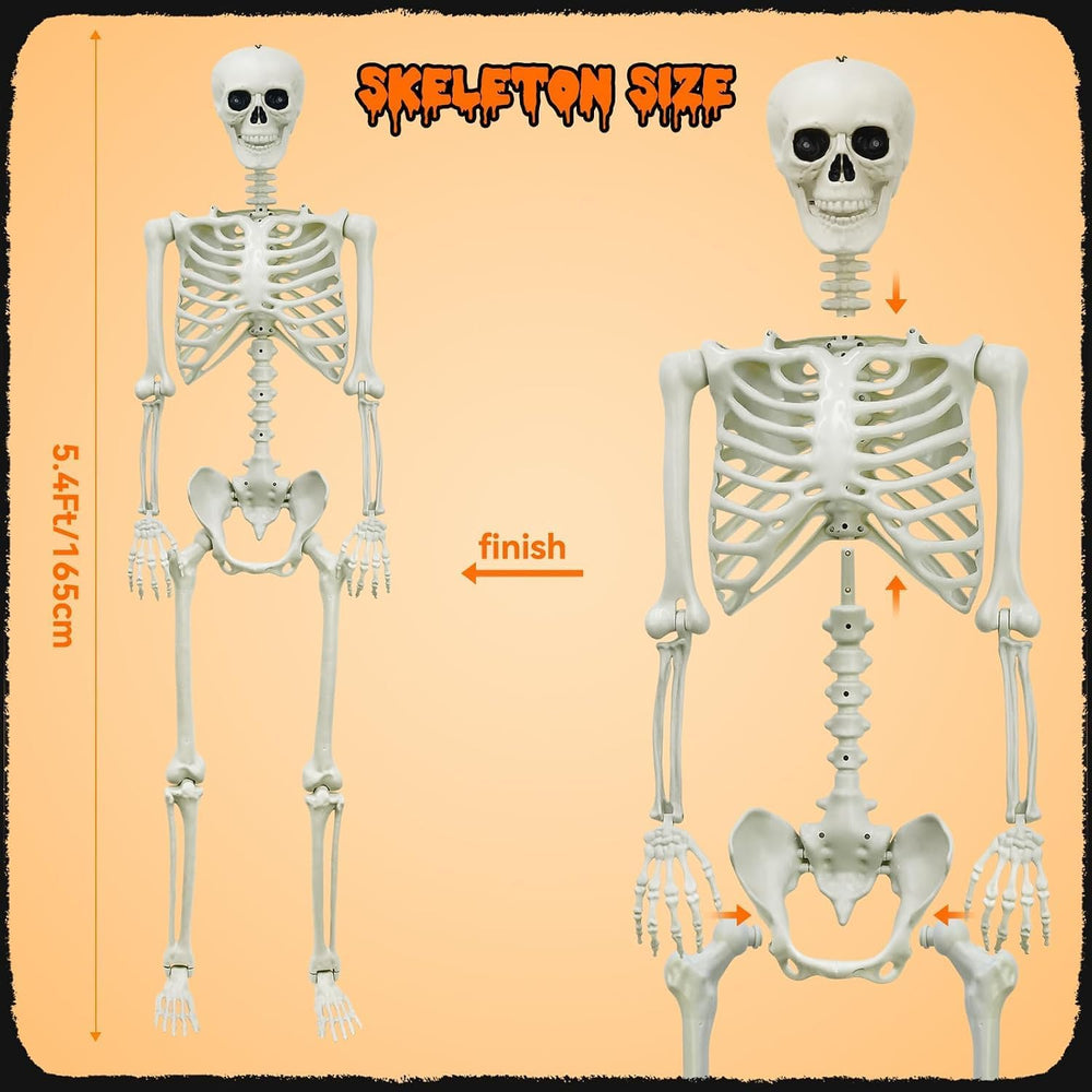 Halloween Decorations Outdoor 5.4Ft Life-Size Realistic Posable Skeleton