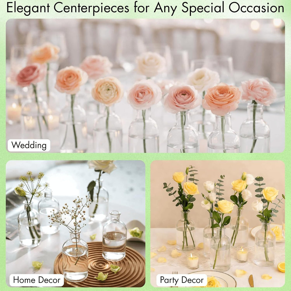 YOUEON 16 Pack Clear Glass Bud Vases, Small Bud Vases in Bulk, Glass Flower V...