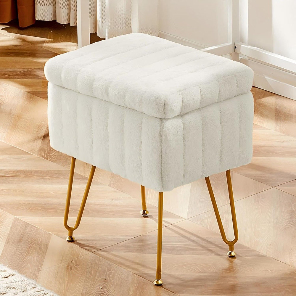 DUMOS Vanity Stool Chair, Ottoman with Storage for Living Room, Bedroom