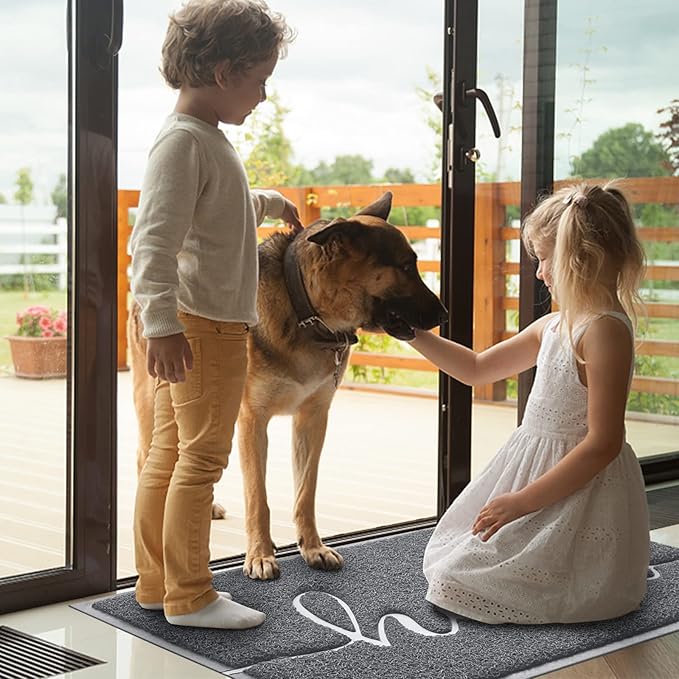 BeneathYourFeet Door Mat, Welcome Mat Low Profile Front Doormat Indoor Outdoor - Image 2