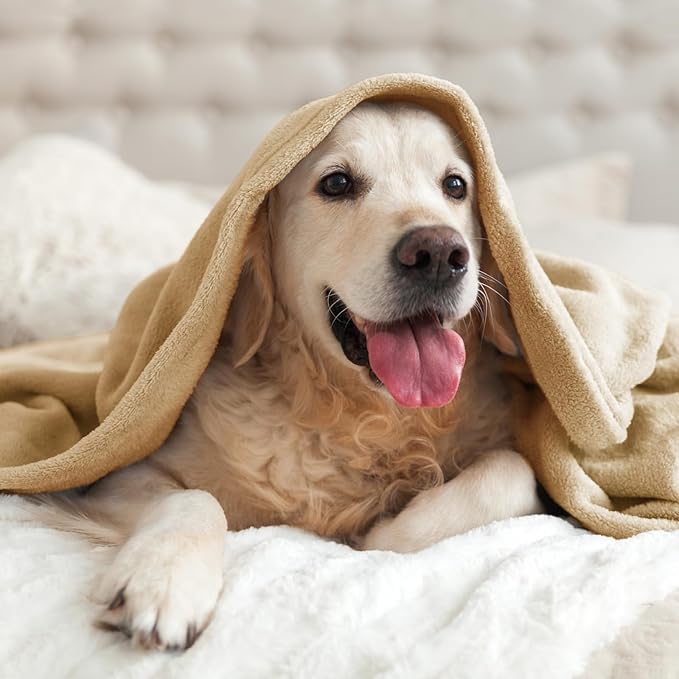 BEDELITE Fleece Blanket Light Camel Throw Blankets - Image 8