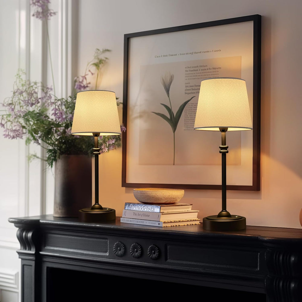 ONEWISH Cordless Lamp-Battery Operated Table lamp, 4000mAh Rechargeable, Step...