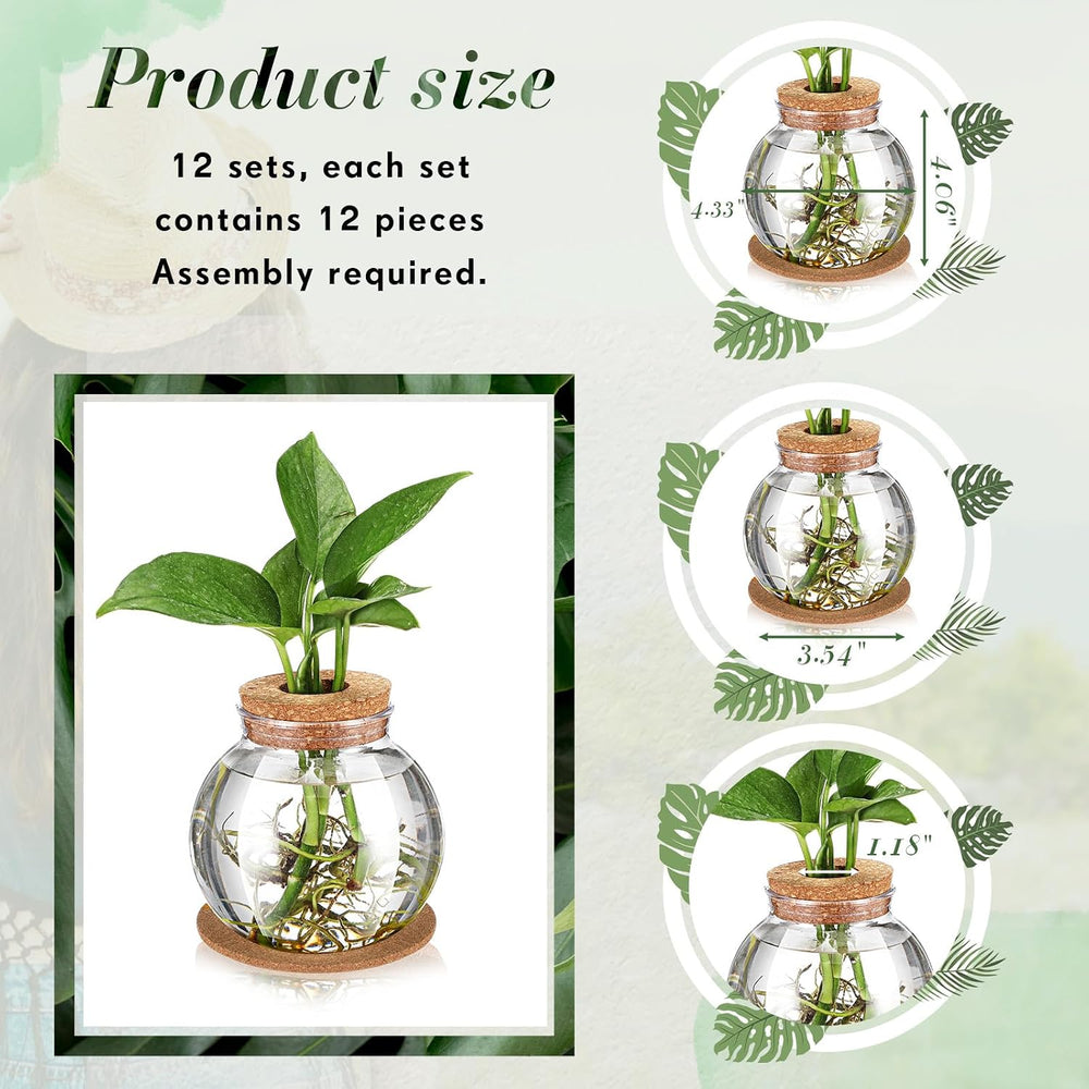 12 Packs Propagation Vases for Plants