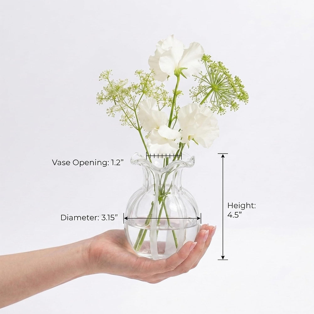 6-Piece 4.5" Ruffled Ribbon Small Vases for Flowers Hand-Blown Glass Vases