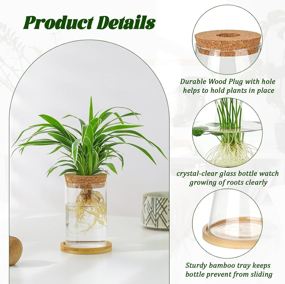 6 Pcs Plants Propagation Stations Glass Planter Terrariums with Wooden Lid an...