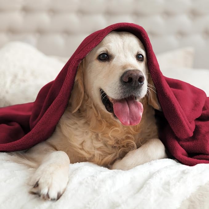 BEDELITE Fleece Blanket Twin Size Burgundy Throw Blankets - Image 7