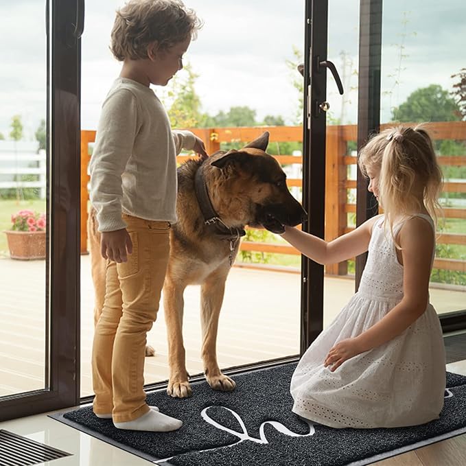 BeneathYourFeet Door Mat, Welcome Mat Low Profile Front Doormat Indoor Outdoor - Image 2