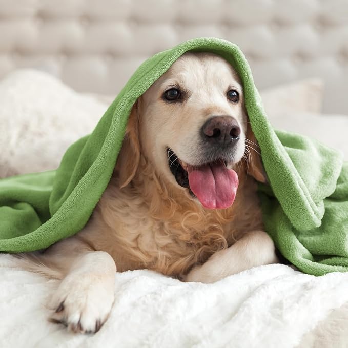 BEDELITE Fleece Blanket King Size Blankets - Image 8