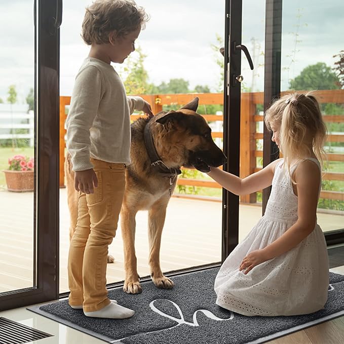 BeneathYourFeet Door Mat, Welcome Mat Low Profile Front Doormat Non Slip Mats - Image 2