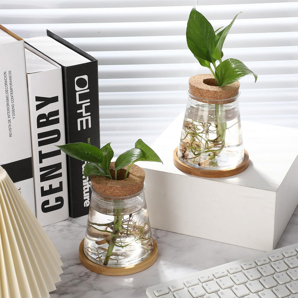 Baderke 12 Pack Propagation Vases for Plants