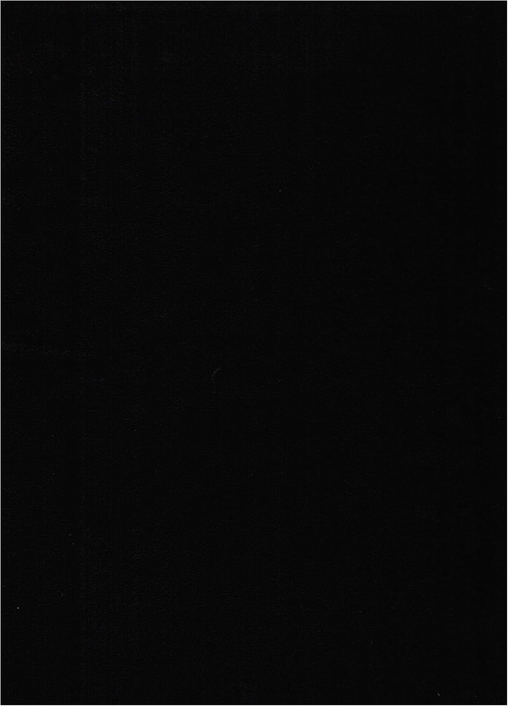 Kodiak Furniture Suede Black Queen-size Futon Mattress Only