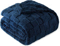 Exclusivo Mezcla Queen Size Flannel Fleece Blanket, Super Soft and Warm by ExclusivoMezcla