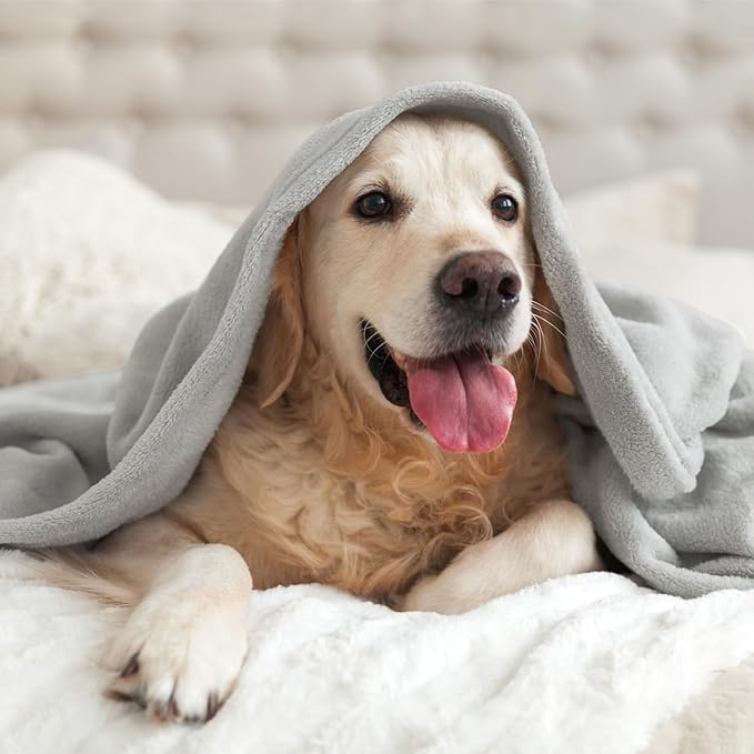 BEDELITE Fleece Blanket Light Grey Throw Blankets - Image 7