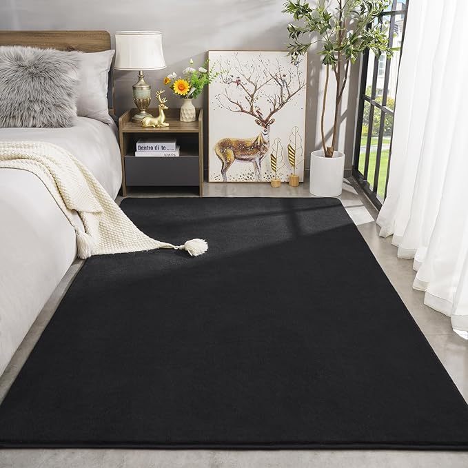 Amearea Modern Area Rugs for Bedroom Living Room, 4x6 Feet Black Thickened - Image 2