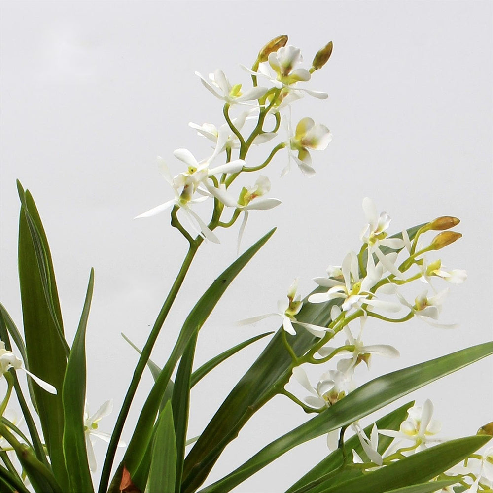 3pcs Artificial Cymbidium Plant & Flower Stems for Greenery Decor