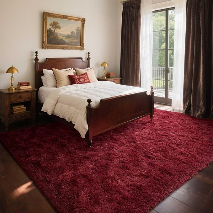 Area Rugs for Living Room, 4x6 Feet Soft Fluffy Shagg Plush Rug High Pile Large