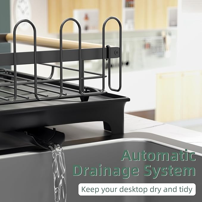 2-Tier Dish Rack with Drainboard: Large Capacity Anti-Rust Kitchen Counter