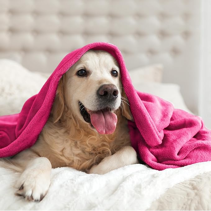 BEDELITE Fleece Blankets Queen Size Hot Pink Throw Blankets - Image 9