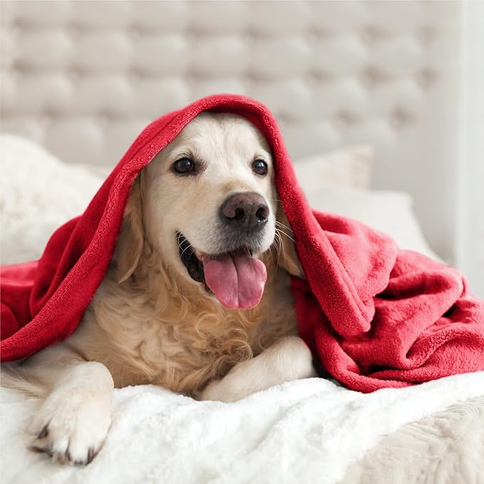 BEDELITE Fleece Blanket Red Throw Blanket - Image 7