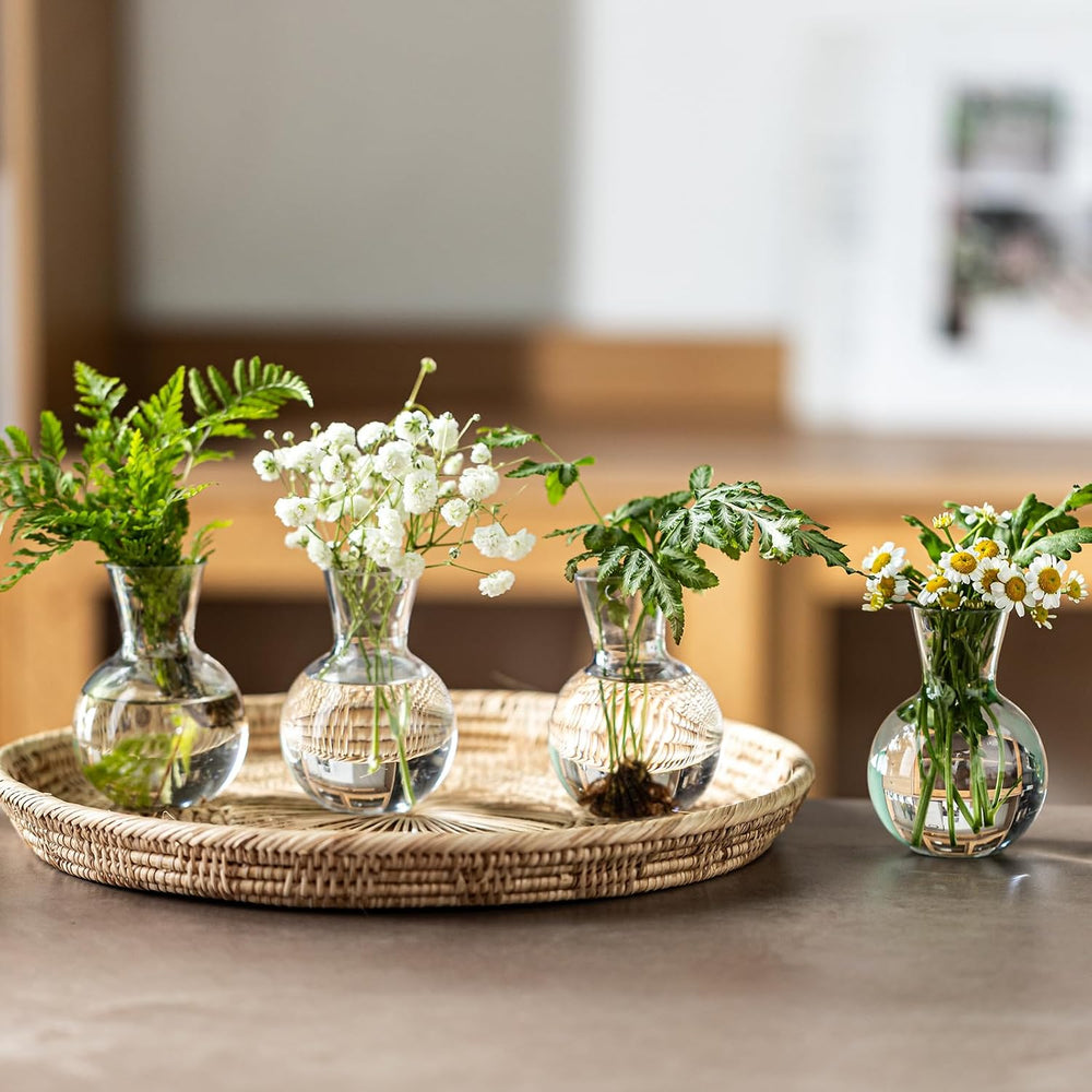 Plastic Propagation Vases (25 Bulbs),Desktop Plant Terrarium for Indoor Plant...