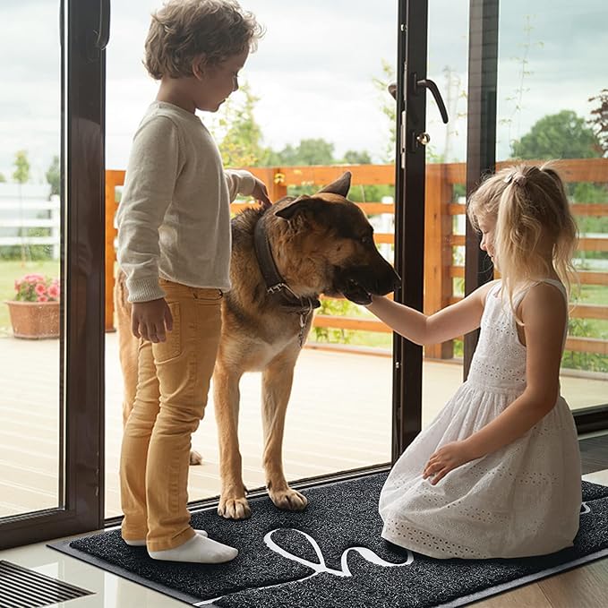 BeneathYourFeet Door Mat Welcome Mat Low Profile Front Doormat Indoor Outdoor - Image 2