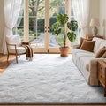 Area Rugs for Living Room, 5x7 Feet Soft Fluffy Shagg Plush Rug High Pile Large by Cuzwlovita