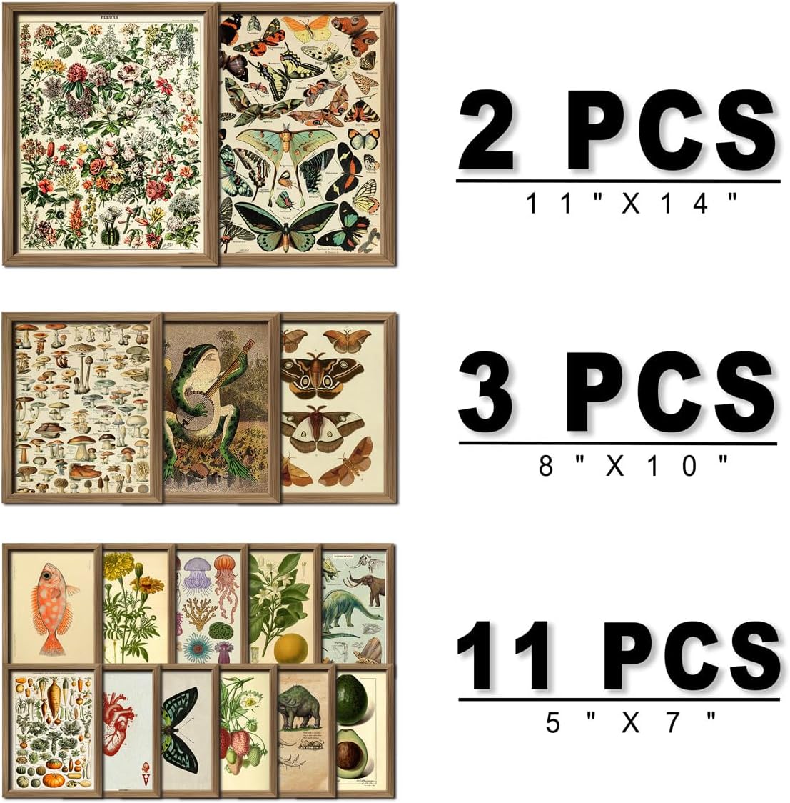 framed vintage wall art decor, botanical cottagecore wall shown in use