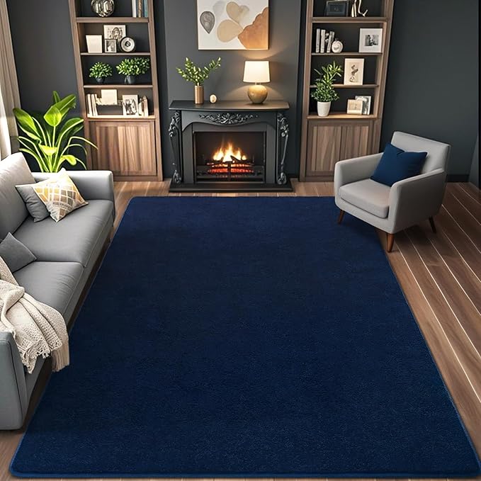 AROGAN Modern Shag Area Rug for Living Room, 5x7 Feet Washable Rugs for Bedroom by AROGANAREARUG