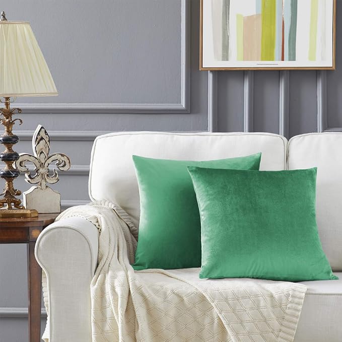 GIGIZAZA Mint Turquoise Velvet Decorative Throw Pillow Covers 20x20 by GIGIZAZAFocusingonhomedecoration