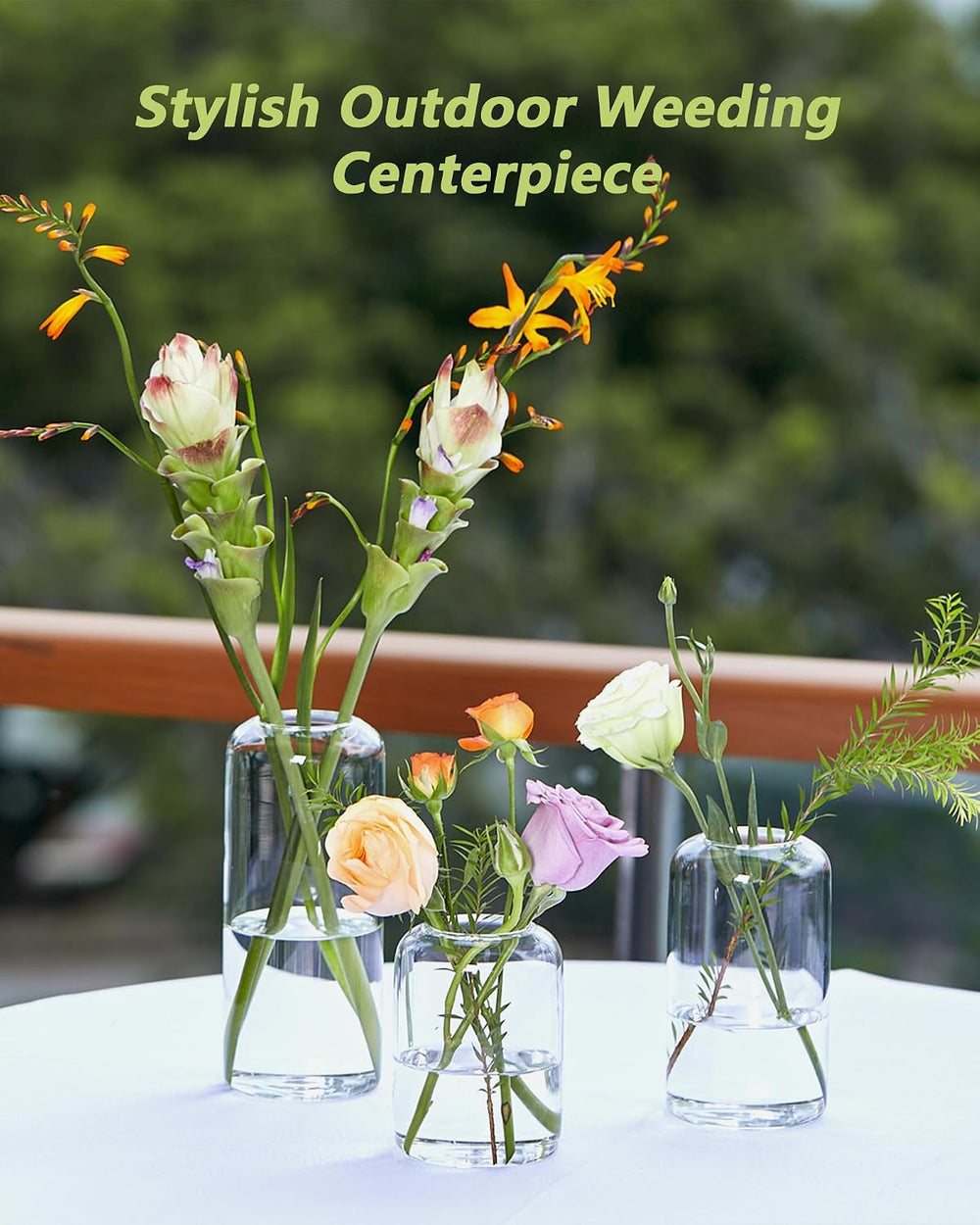 ZENS Bud Vases in Bulk Set of 16, Modern Small Glass Vases for Flower Clear B...